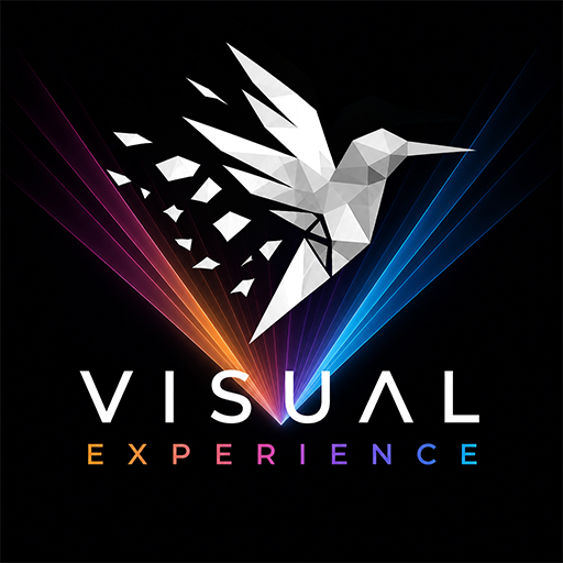 VISUAL EXPERIENCE